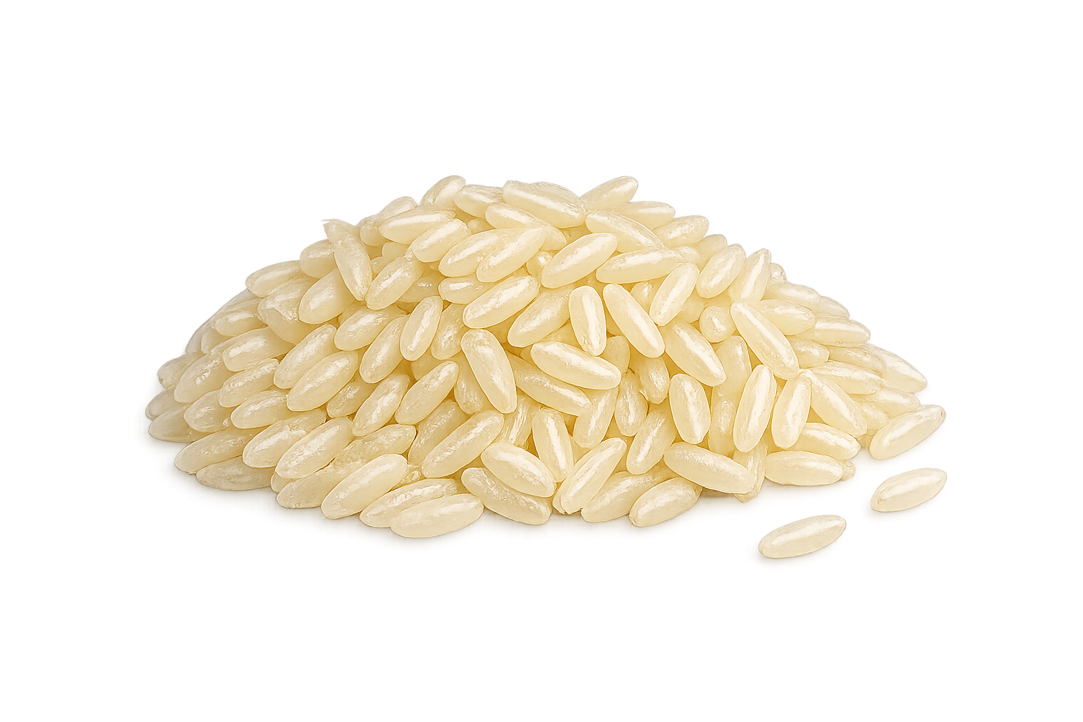 Cluster of pale Black Soldier Fly eggs