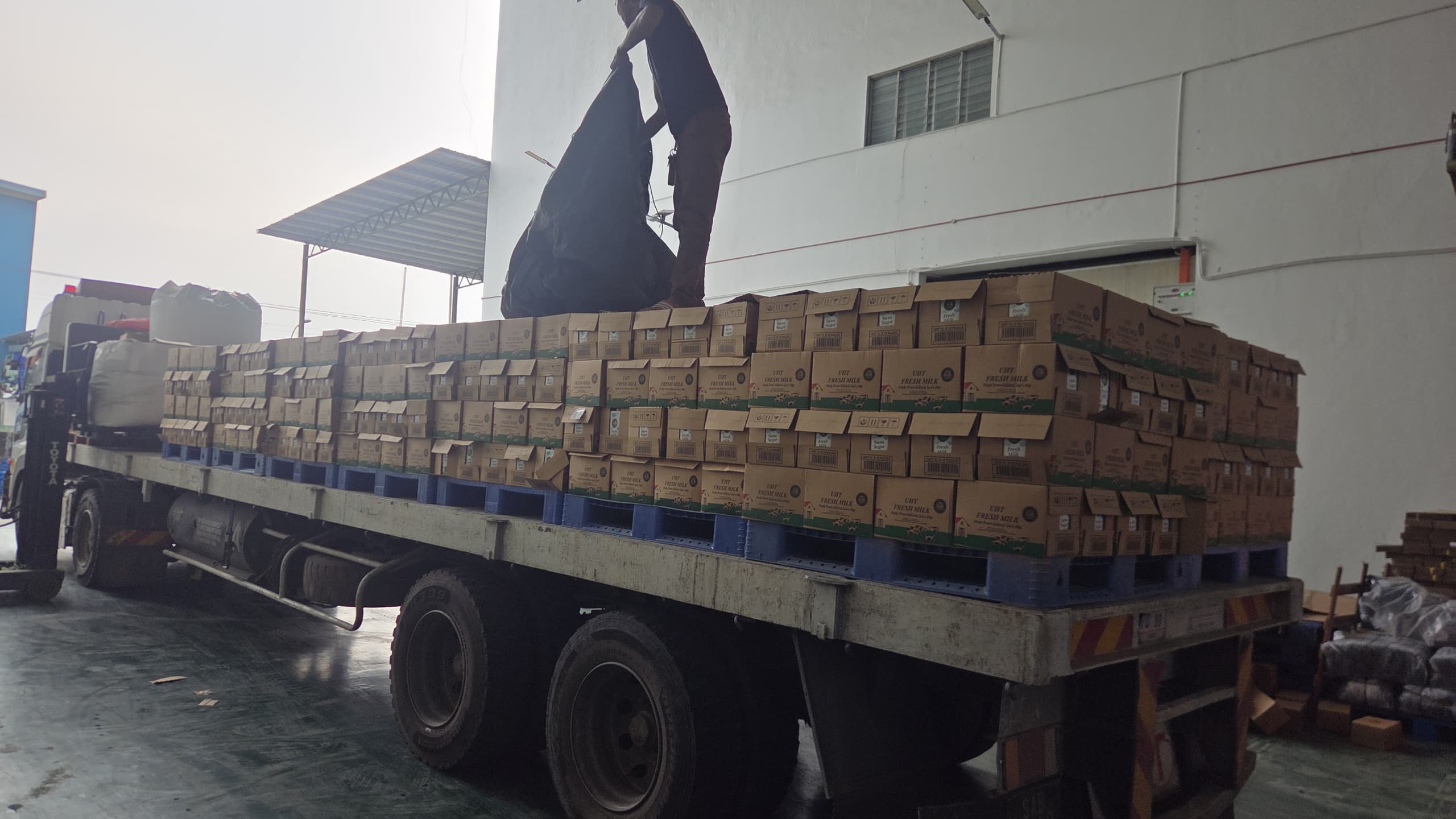 13 Tonnes of Organic Waste Received from Our Partners — photo 3