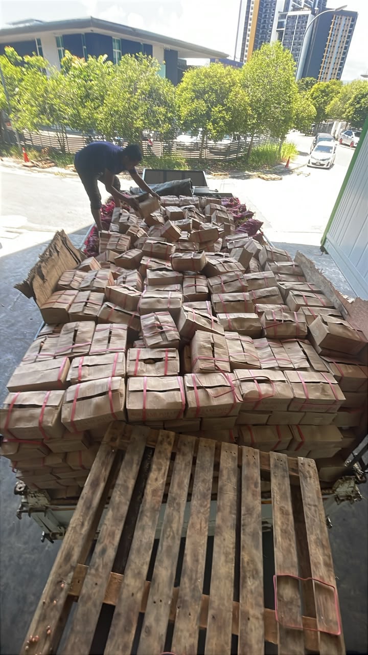 15 Tonnes Recycled with Lo Siew Lin Sdn Bhd — photo 3