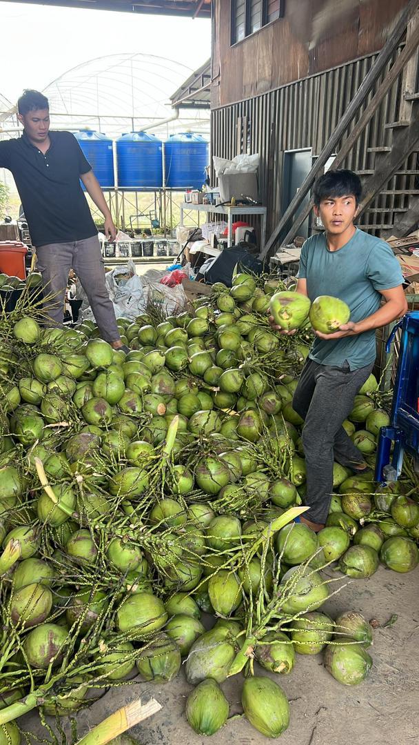 Fruit Waste Recycle from Sri Jutaya